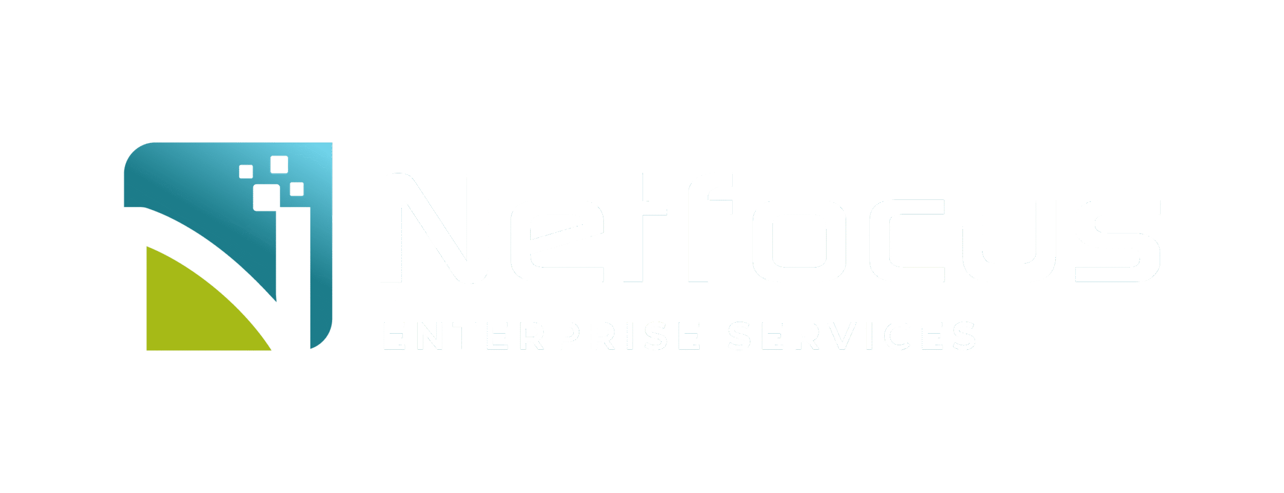 Netfocus Enterprise Services
